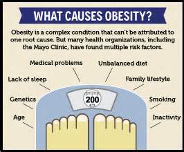 what causes obesity
